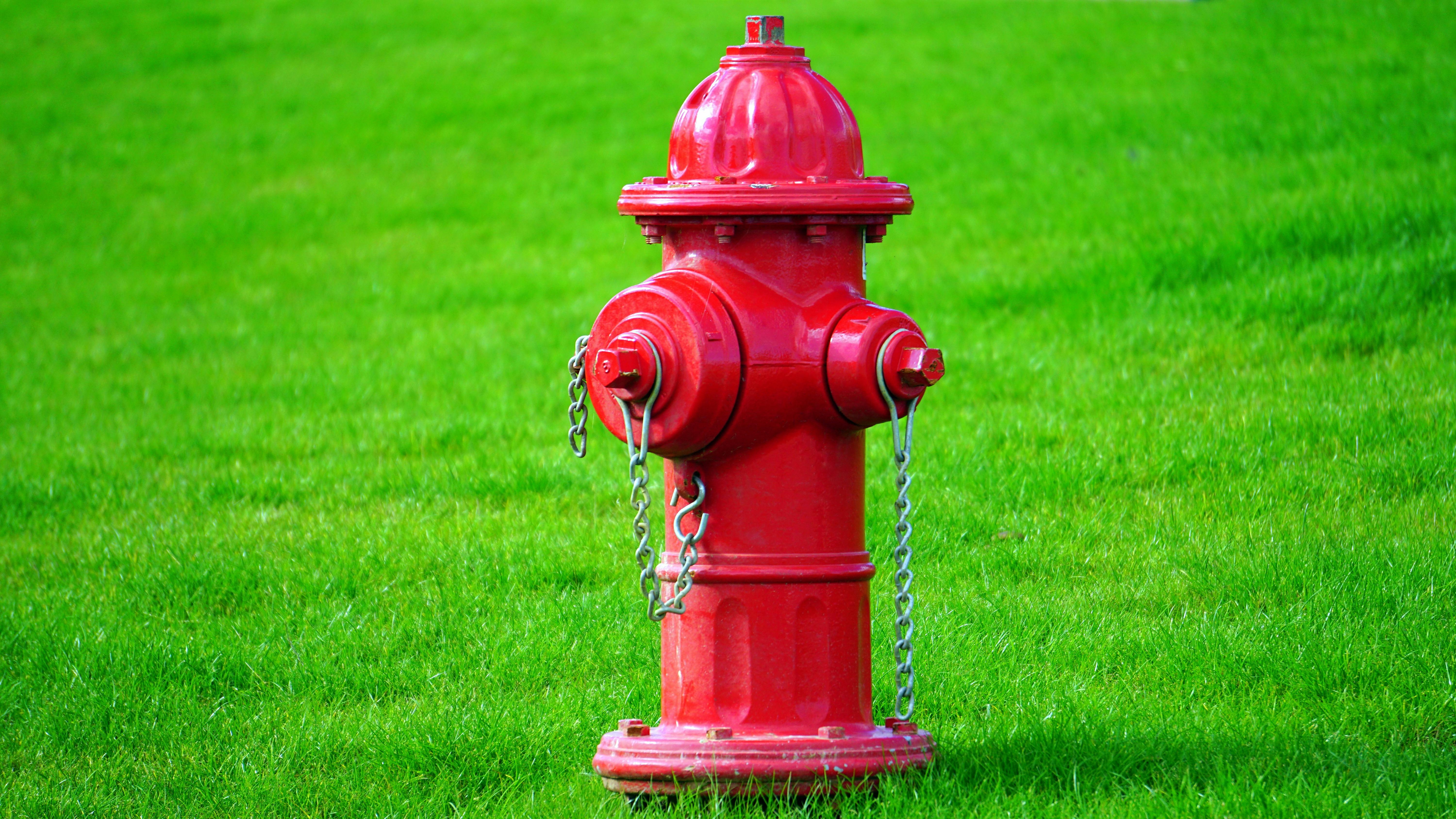 A shiny red fire hydrant surrounded by bright green grass