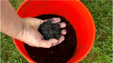 Hand holding biochar over a bucket