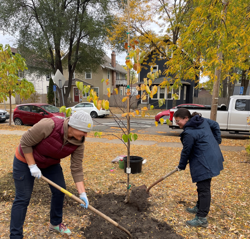 Two people planting a tree Two people planting a tree