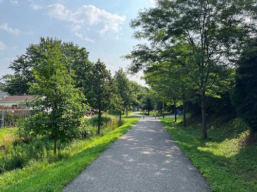 A trail through a greenway area.