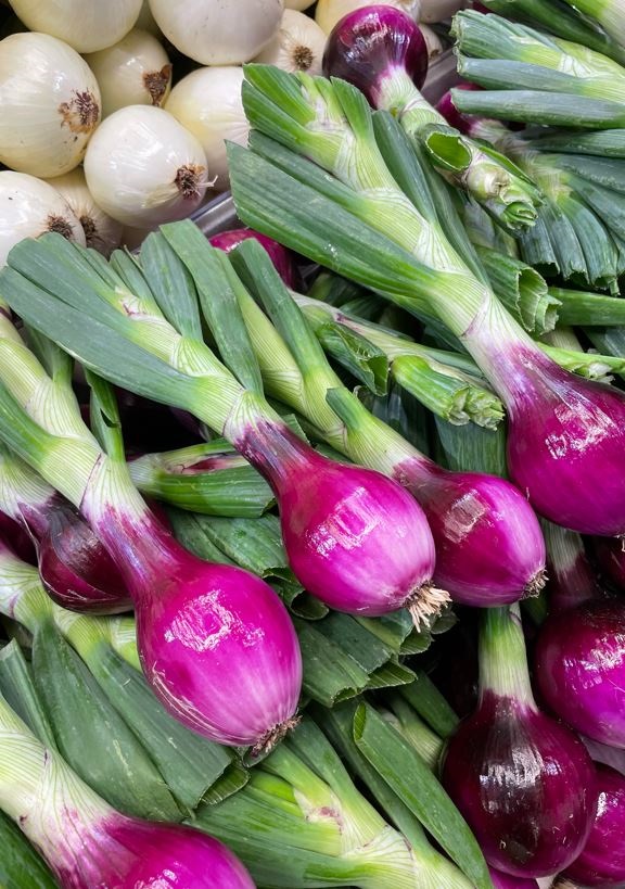 Onions at farmers market, photo courtesy Leslie Foreman, Minneapolis Health Department