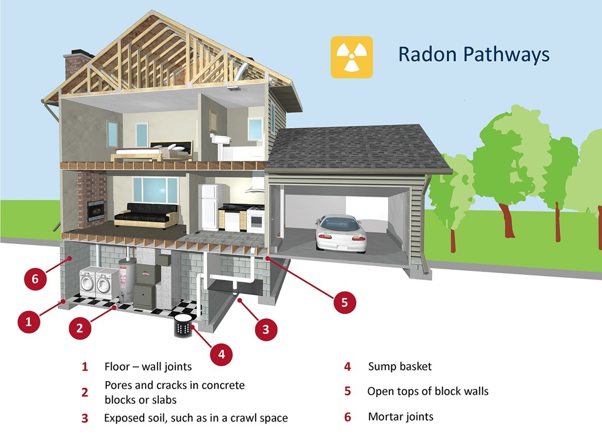 Graphic showing where radon gets in to a house