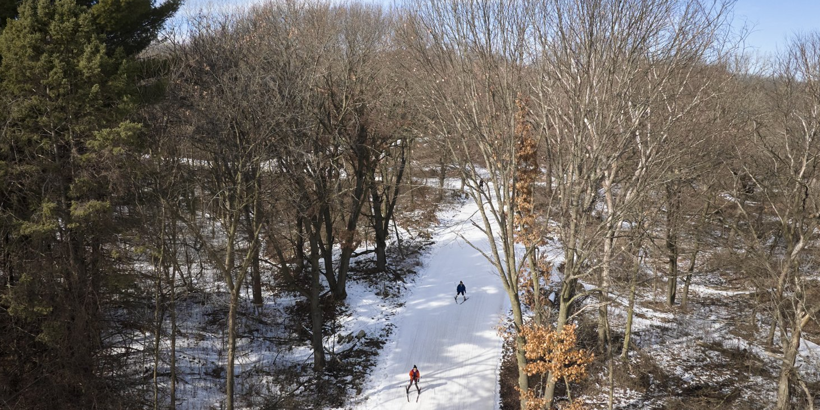 Theodore Wirth Regional Park skiing by Paul Vincent, Meet Minneapolis