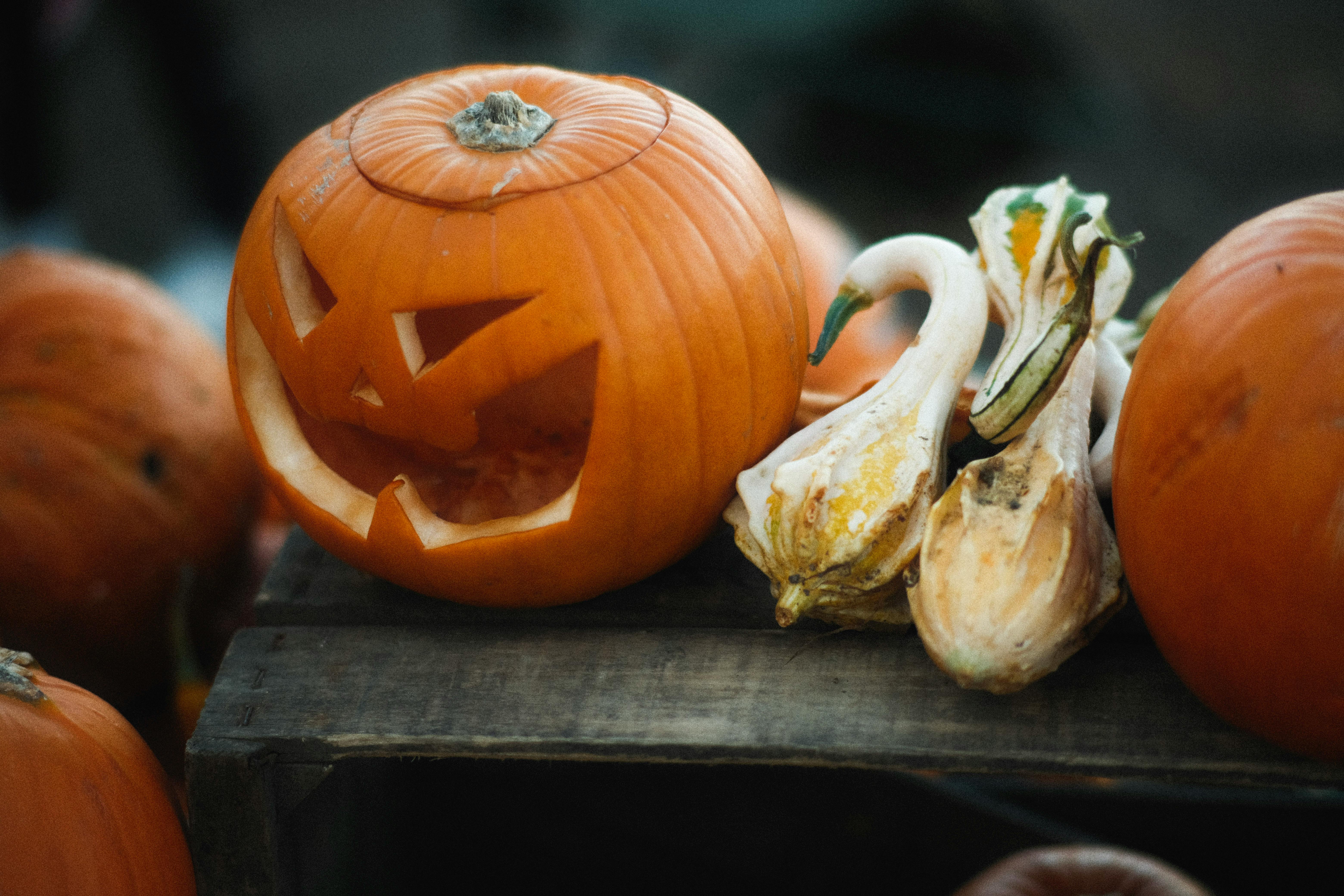 Jack o' lanterns and gourds