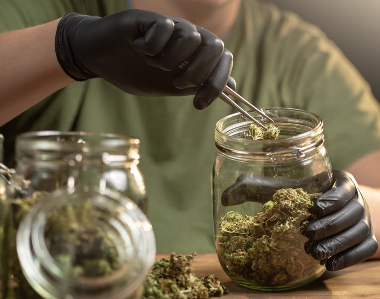 Person putting cannabis in jar