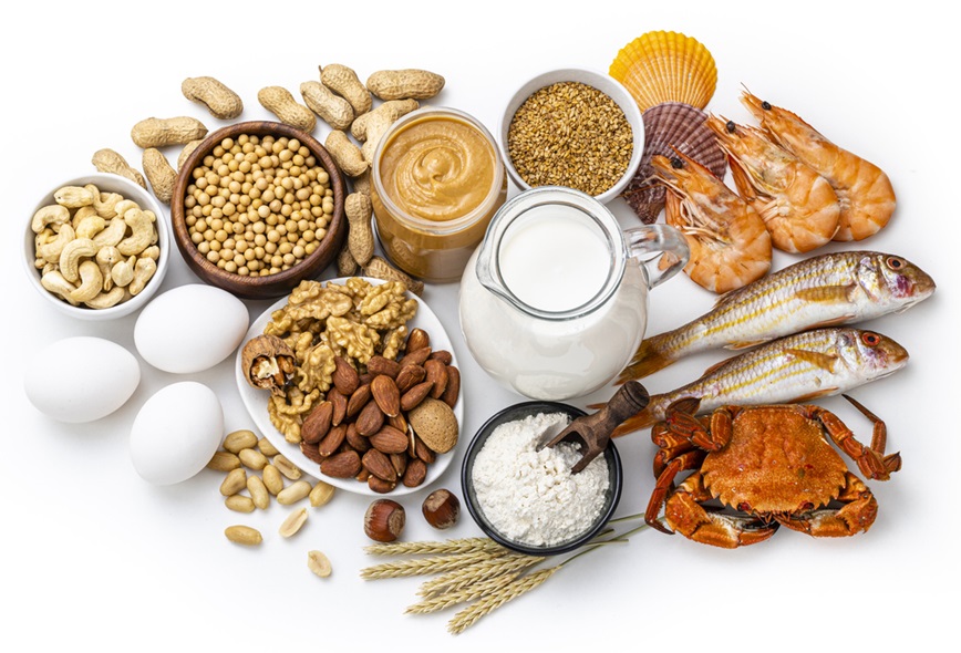 Foods from the main allergen groups: Crustacean shellfish, eggs, fish, milk, peanuts, sesame, soy, tree nuts, wheat