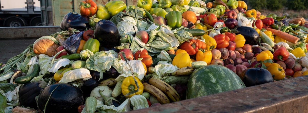 Wasted food in Dumpster